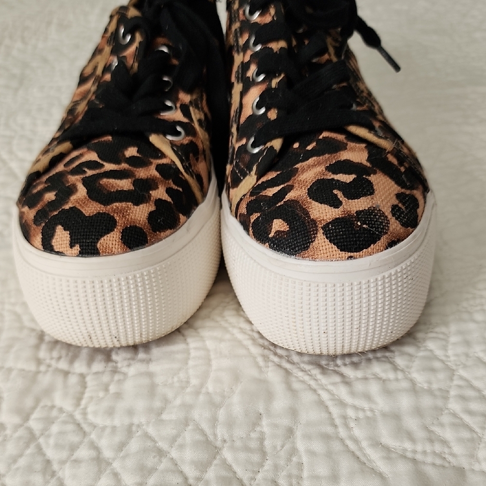Steve Madden Leopard Print Sneakers - Picture 2 of 11